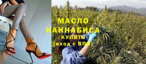 Альфа ПВП Горняк
