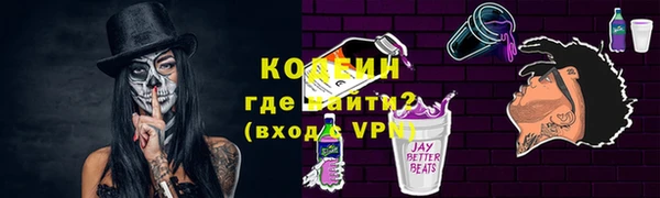 индика Туринск