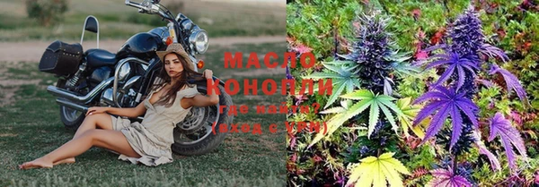 Альфа ПВП Горняк