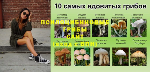 Альфа ПВП Горняк