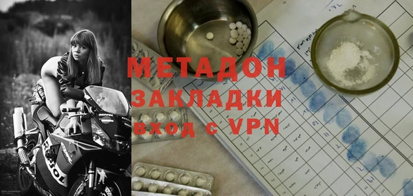 индика Туринск