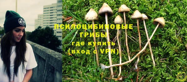 винт Горно-Алтайск