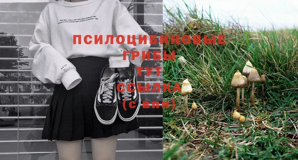 дурь Горнозаводск