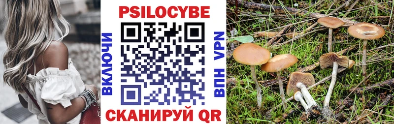 закладка  Сердобск  ОМГ ОМГ вход  Псилоцибиновые грибы Magic Shrooms 